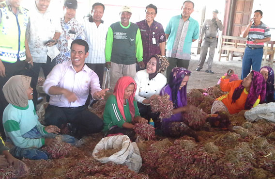 Mentan `Check and Recheck` OP Bawang Merah di Kramat Jati